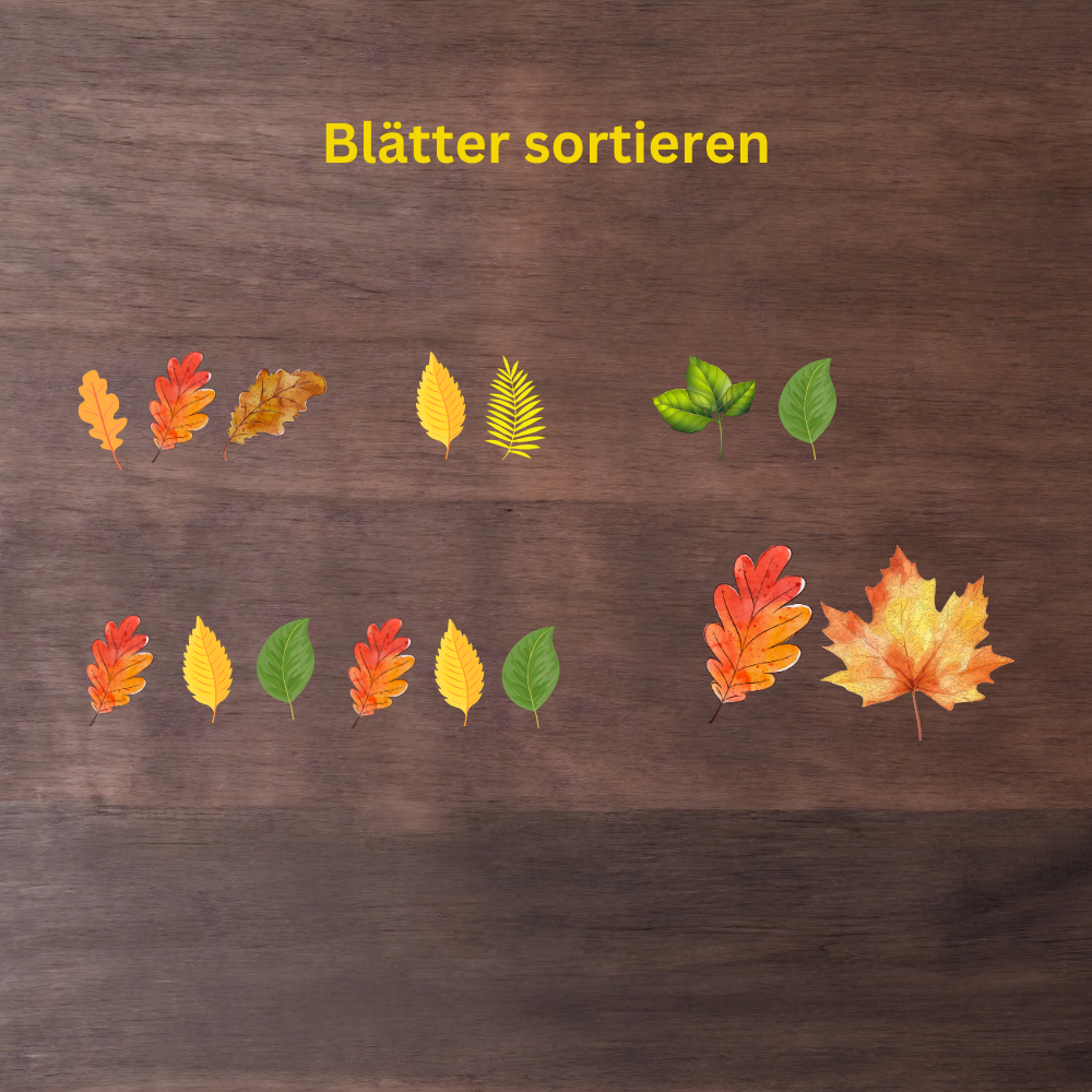 Herbstblätter sortieren