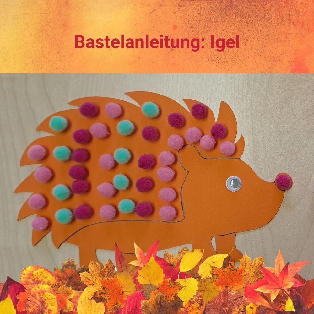 Bastelanleitung Igel