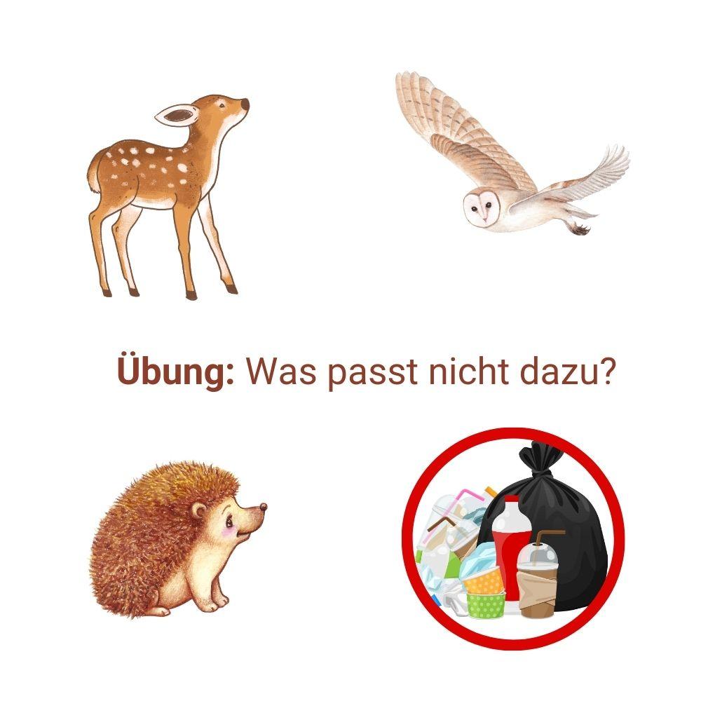 Übung Umwelt: Was passt nicht dazu?